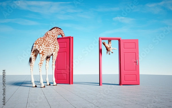 Fototapeta Giraffe enters a door and comes out of another.