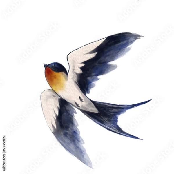 Fototapeta Swallow flight