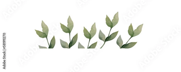 Obraz green grass with leaves