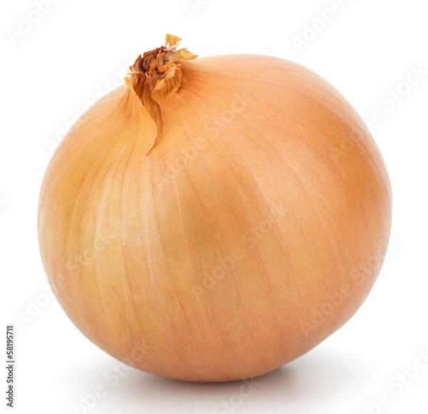 Obraz Fresh bulbs of onion on a white background