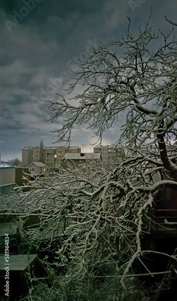 Obraz tree on the beach