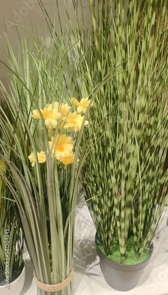 Obraz flowers in a vase