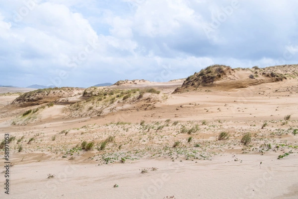 Fototapeta 秋の鳥取砂丘とその紋様 鳥取県 鳥取砂丘