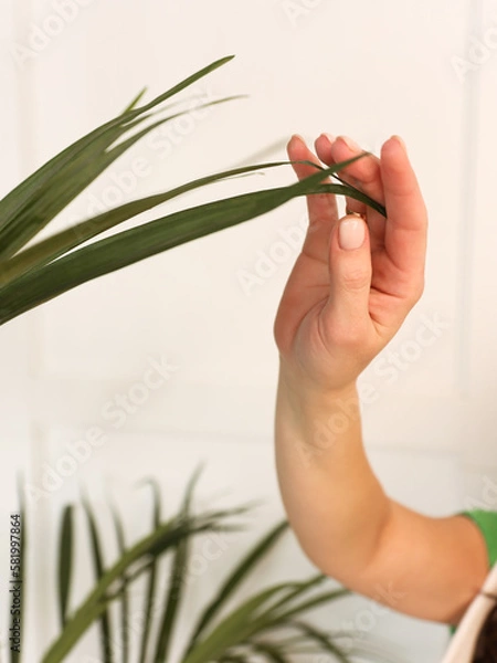 Obraz wax and epilation