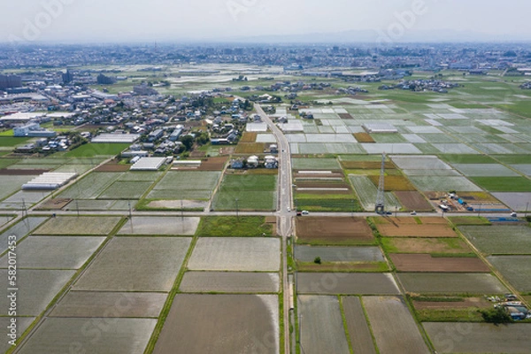 Fototapeta 水田（田んぼ）のドローン空撮