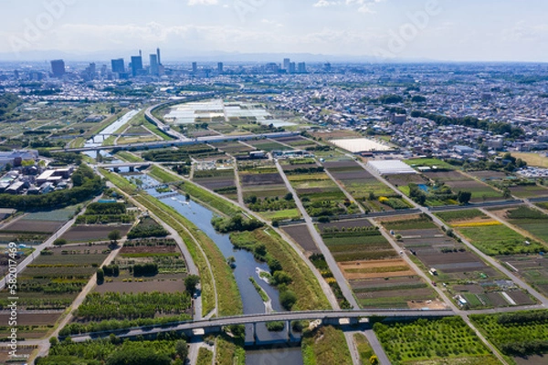 Fototapeta 都市と畑のドローン空撮