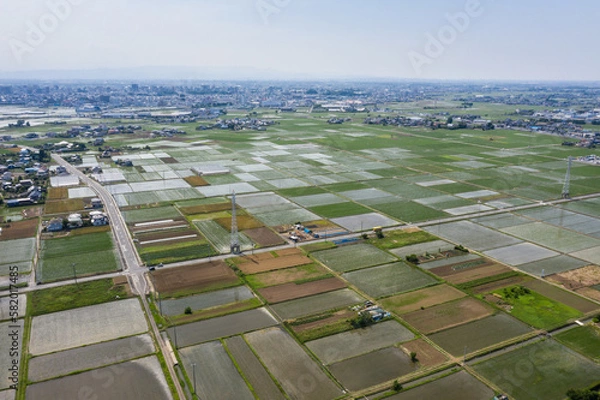 Fototapeta 都市と水田のドローン空撮
