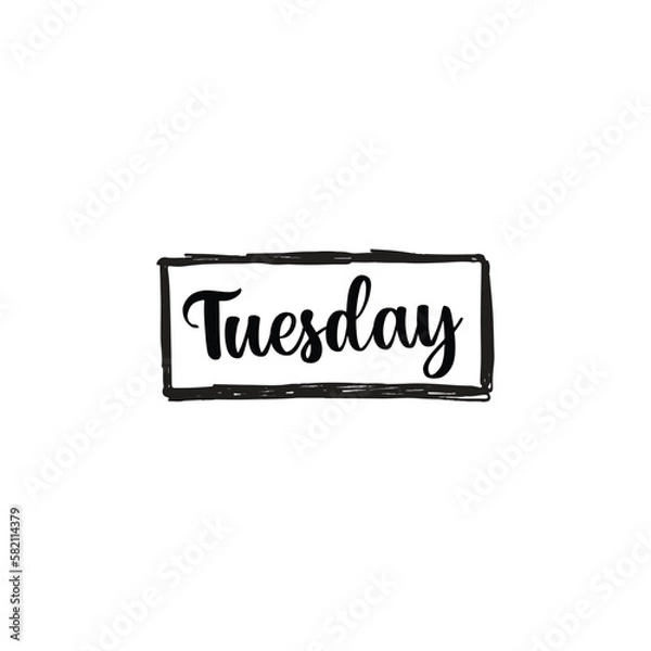 Fototapeta Tuesday - handwritten quote in a text box. Lettering message. Hand drawn typography, calligraphy on a white background EPS Vector
