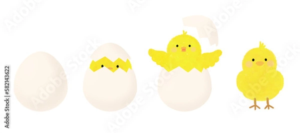 Fototapeta Illustration of a chick breaking out of an eggshell, 달걀 껍질 깨고 나오는 병아리 일러스트