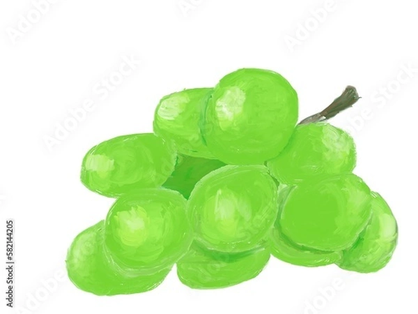 Fototapeta A Green Grape Painting. The green grape is a sweet fruit that grows in bunches. 