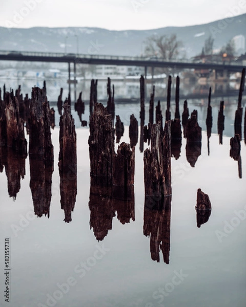 Obraz reflection in the water