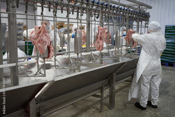 Obraz Turkey meat cutting line at a meat processing plant