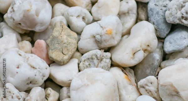 Fototapeta River Rock Pathway