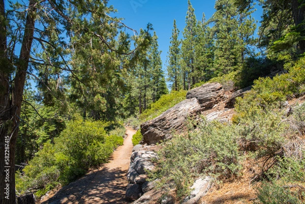 Obraz Tahoe trail