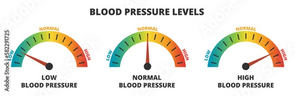 Fototapeta Vector infographic set of blood pressure levels – blood pressure meters with low, normal, and high level results, hypertension. Indicator gauge with color scale and arrow showing blood pressure levels