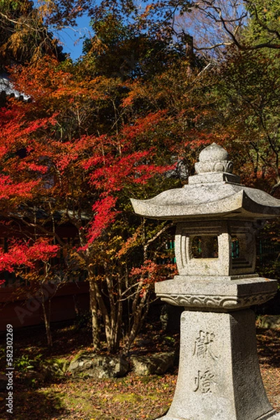 Fototapeta 日本　京都府京都市にある毘沙門堂の境内の紅葉