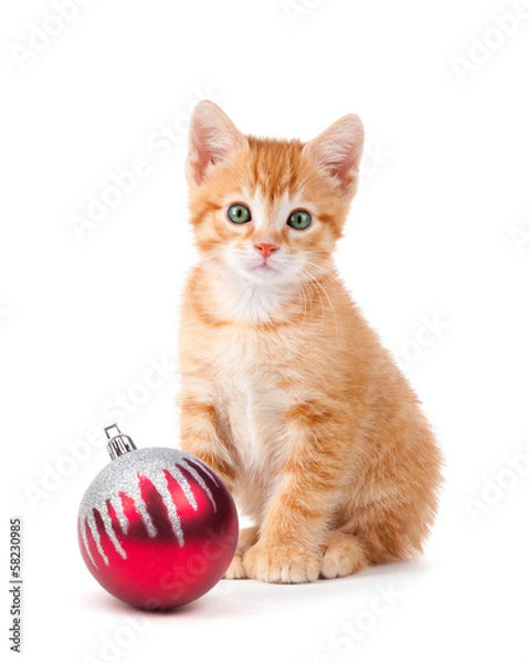 Fototapeta Cute orange kitten with large paws sitting next to a Christmas O
