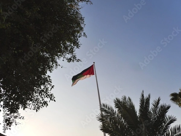 Obraz red and green flags