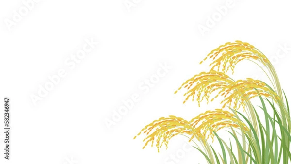Obraz 稲穂の背景ベクターイラスト