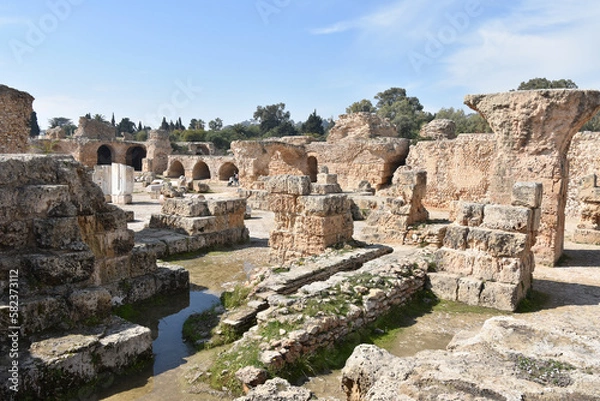 Obraz Baths of Antoninus Ruins, Wide View, Carthage