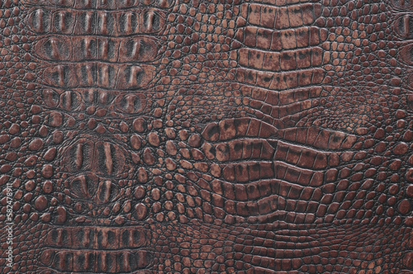 Fototapeta Crocodile leather texture