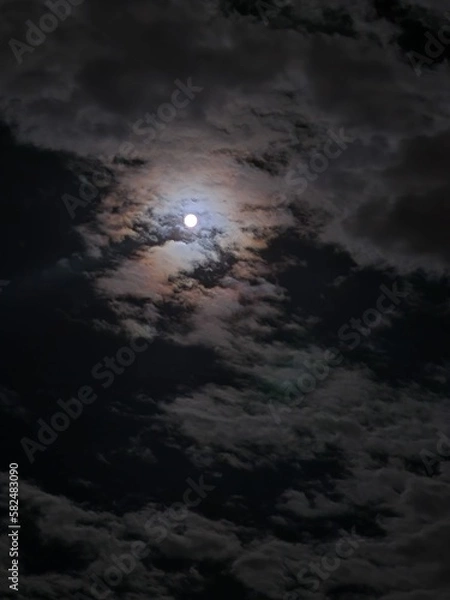 Fototapeta Night moon