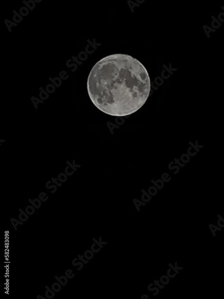 Fototapeta Full moon