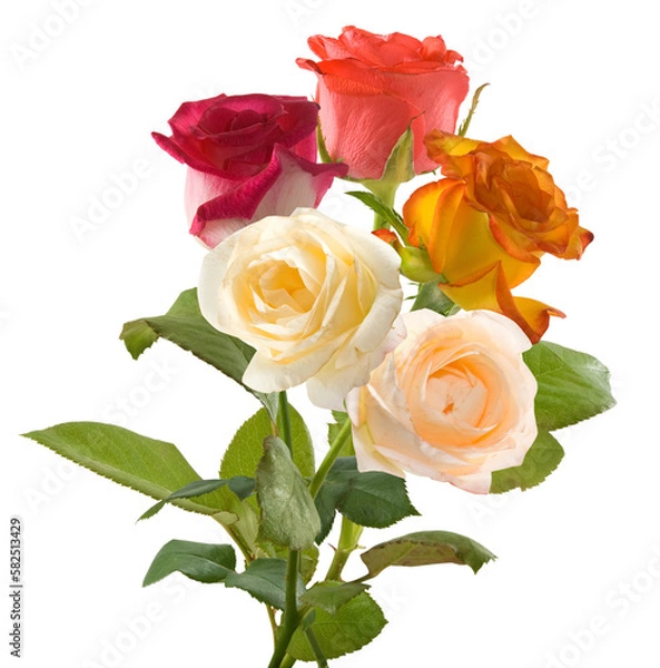 Fototapeta Bouquet colorful  flowers isolated on transparent background.