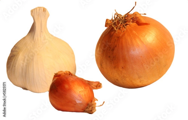 Obraz ail échalotte oignon