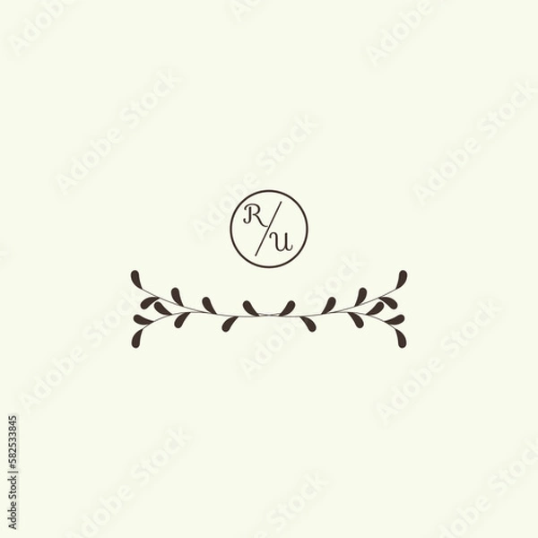 Fototapeta Aesthetic botanical vector illustration isolated on background