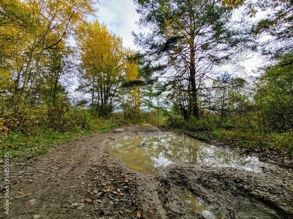 Fototapeta Tree mirrored in the puddle mirror ont he meadow in nature. Slovakia
