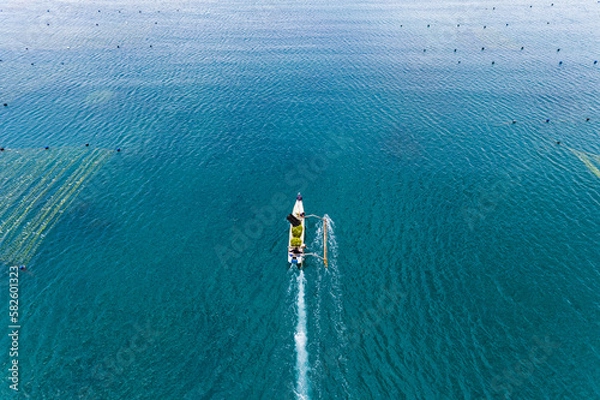 Fototapeta Seaweed farm at Kaliantan beach, east Lombok
