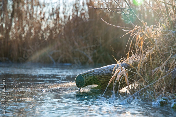 Obraz Winterstimmung
