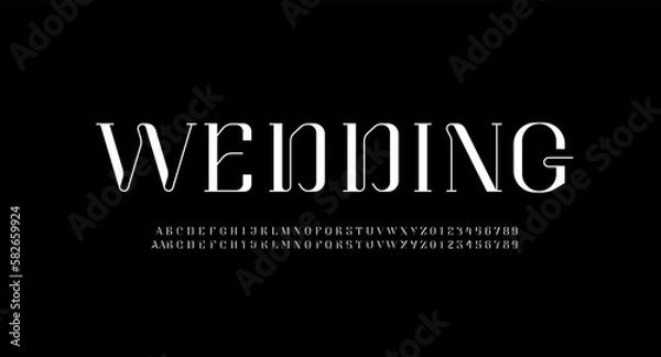 Fototapeta Beautiful elegant alphabet serif font, classic lettering perfect for logotypes, wedding invitations, or fashion design, set including two sets of differently written drawn letters and numbers