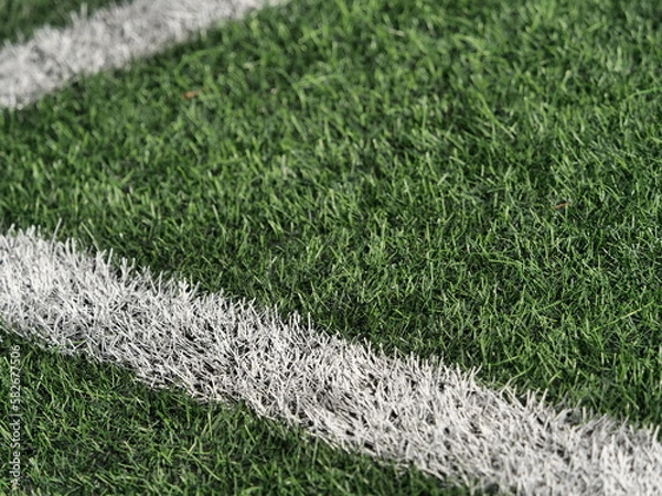 Obraz soccer ball on grass