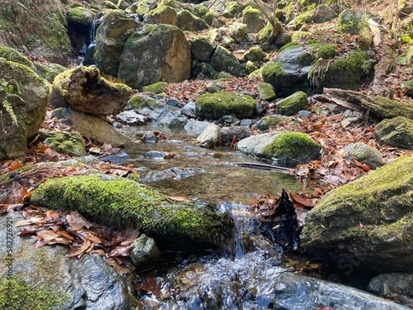 Fototapeta 白谷沢　棒ノ折山