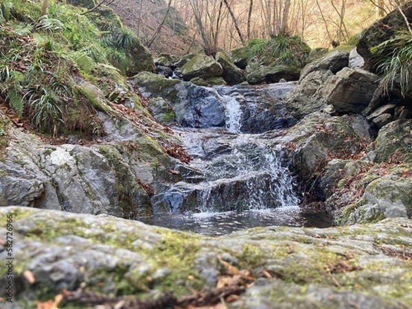 Fototapeta 白谷沢　棒ノ折山