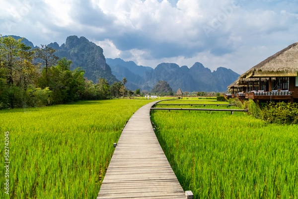 Fototapeta wooden path with green rice field in Vang Vieng, Laos.