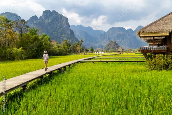 Fototapeta wooden path with green rice field in Vang Vieng, Laos.
