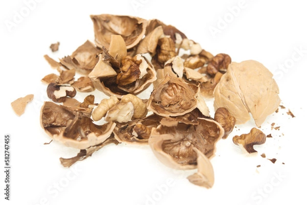 Fototapeta Walnut shell