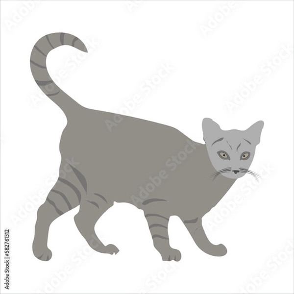 Fototapeta A very nice cat is standing vector artwork