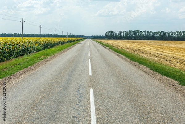 Fototapeta Asphalt road in between fields on a bright sunny day against a cloudy sky. Expressway.