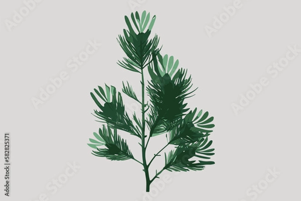 Fototapeta Green branch of coniferous tree illustration. flat style