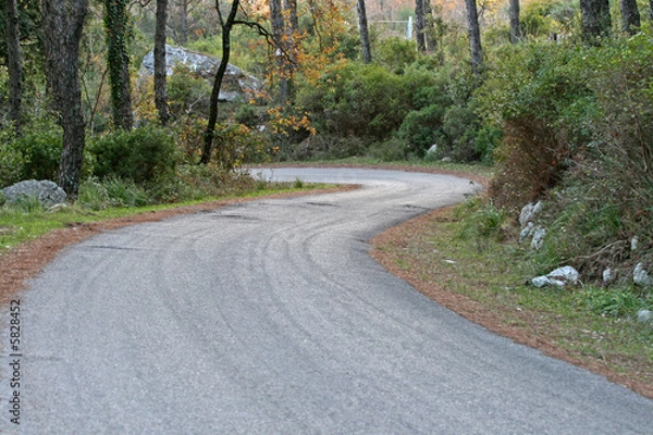 Obraz Curve e tornanti