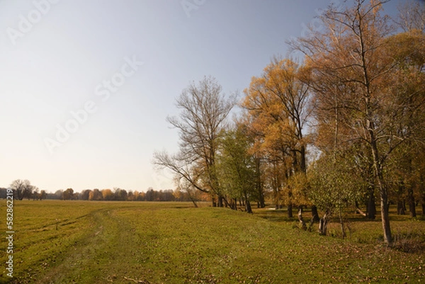 Obraz autumn landscape with trees