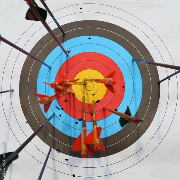 Obraz arrows hit target, successful concept