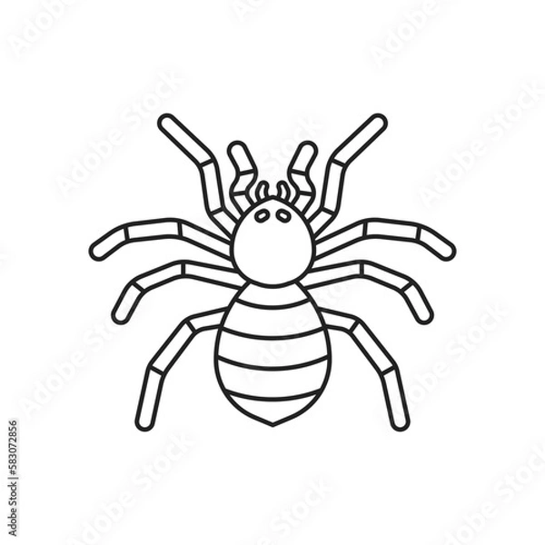 Obraz Tarantula insect icon. High quality black vector illustration.