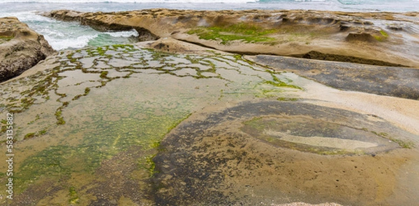Fototapeta Tide Pools on The Shores of La Jolla Cove, La Jolla, California, USA