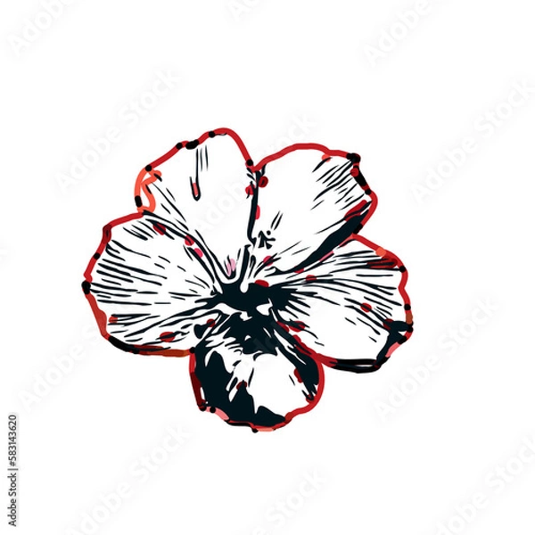 Fototapeta Color sketch of a shoe flower with transparent background