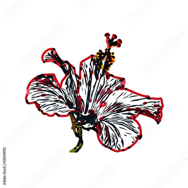 Fototapeta Color sketch of a shoe flower with transparent background